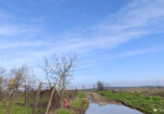 House for Sale, Haskovo district- Studena village – 21900 euros