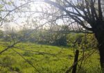 New plots for Prefab houses Momkovo village  25500 euros