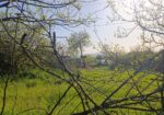 New plots for Prefab houses Momkovo village  25500 euros