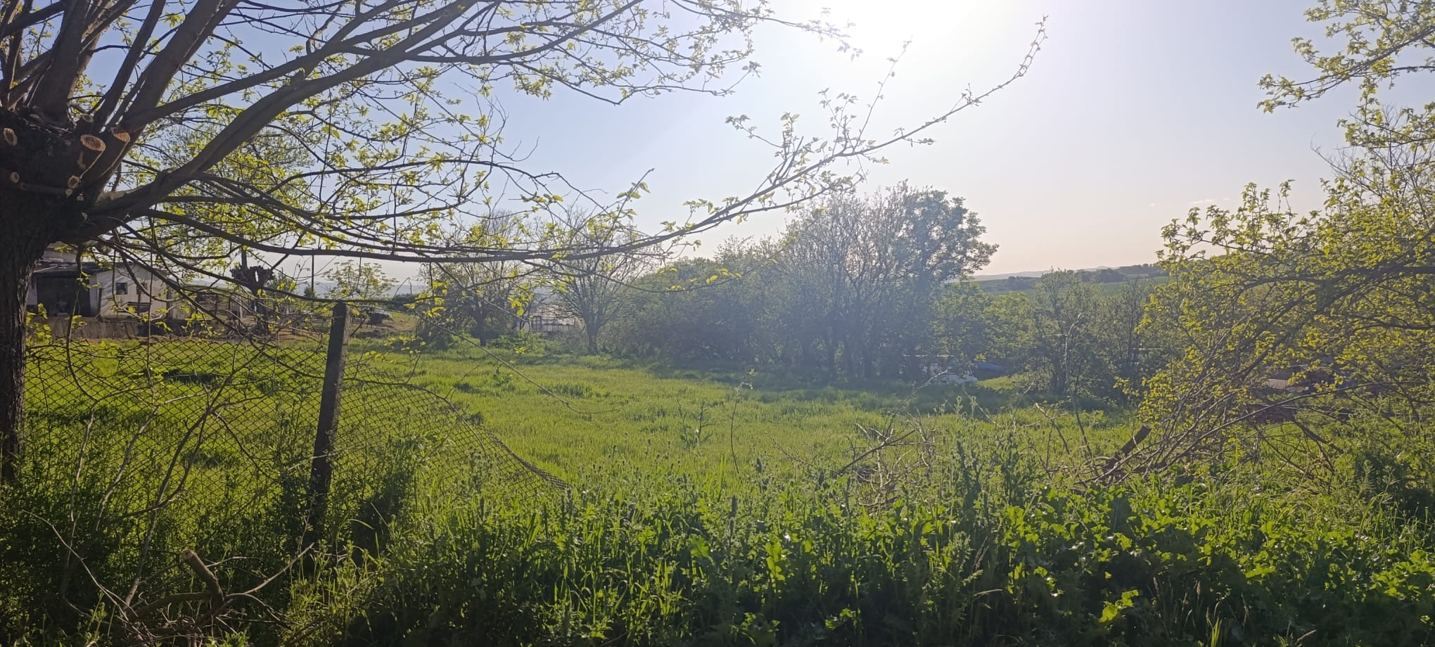 New plots for Prefab houses Momkovo village  25500 euros